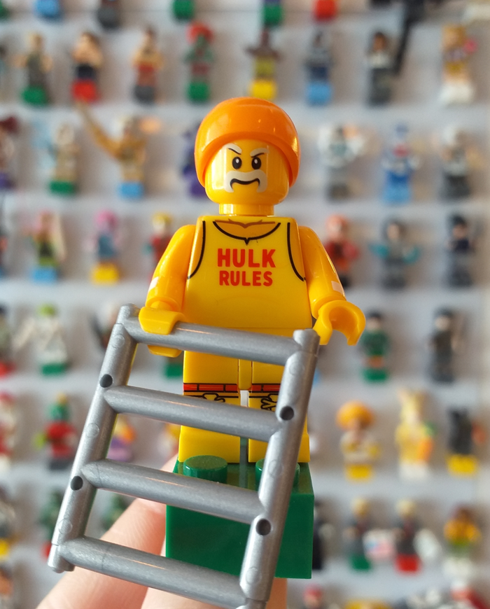 Íman Hulk Hogan (WWF/WWE)