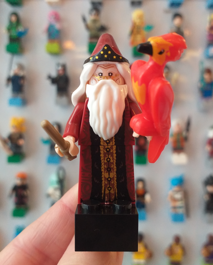 Íman Dumbledore com Fawkes (Harry Potter)